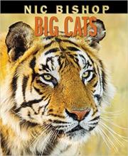 Cover image of Big cats