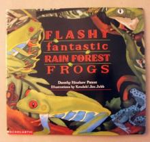 Cover image of Flashy Fantastic Rain Forest Frogs
