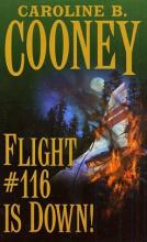 Cover image of Flight #116 is down