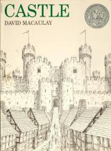 Cover image of Castle