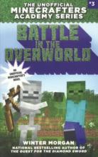 Cover image of Battle in the Overworld