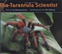 Cover image of The tarantula scientist