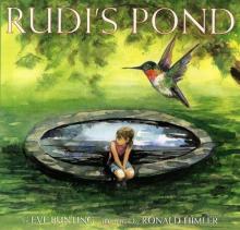 Cover image of Rudi's pond