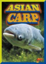 Cover image of Asian carp