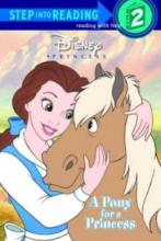 Cover image of A pony for a princess