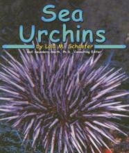 Cover image of Sea Urchins (Ocean Life)