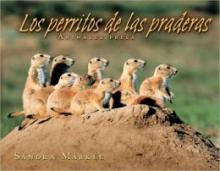 Cover image of Los perritos de las praderas