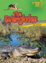 Cover image of The Everglades