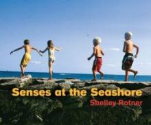 Cover image of Senses at the seashore