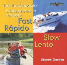 Cover image of Fast
