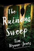 Cover image of The ruinous sweep