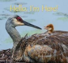 Cover image of Hello, I'm here!