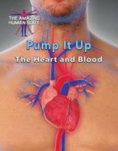 Cover image of Pump it up