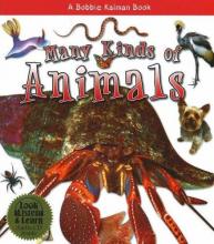 Cover image of Many kinds of animals