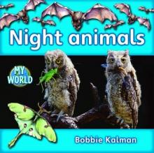 Cover image of Night animals