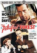 Cover image of The petrified forest