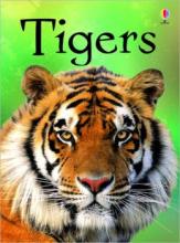 Cover image of Tigers