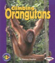 Cover image of Climbing orangutans