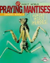 Cover image of Praying mantises