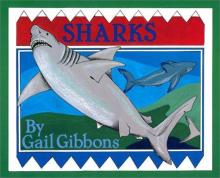 Cover image of Sharks