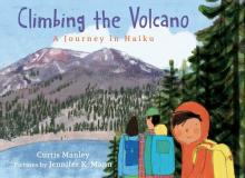 Cover image of Climbing the volcano