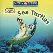 Cover image of Sea Turtles