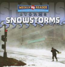 Cover image of Snowstorms