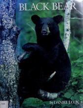 Cover image of Black bear