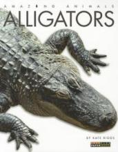 Cover image of Alligators