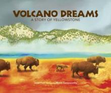 Cover image of Volcano dreams