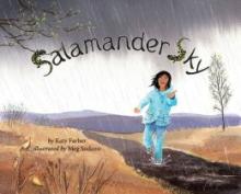 Cover image of Salamander sky