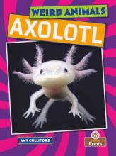 Cover image of Axolotl