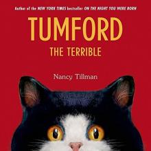 Cover image of Tumford the terrible