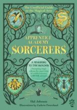 Cover image of Sorcerers