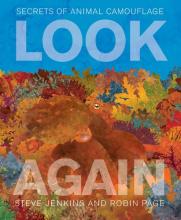 Cover image of Look again