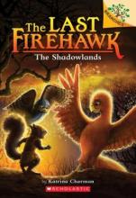 Cover image of The Shadowlands