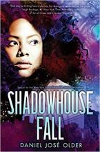 Cover image of Shadowhouse fall