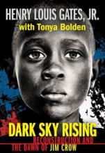 Cover image of Dark sky rising