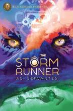 Cover image of The storm runner