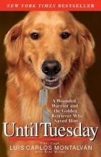 Cover image of Until Tuesday