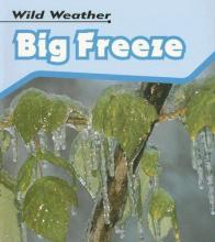 Cover image of Big Freeze (Wild Weather