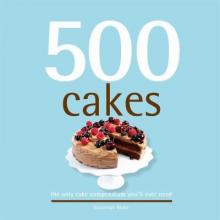 Cover image of 500 cakes