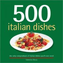 Cover image of 500 Italian dishes