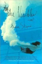 Cover image of The visibles