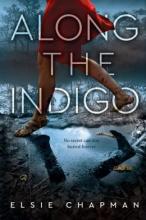 Cover image of Along the Indigo