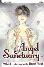 Cover image of Angel sanctuary