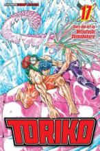 Cover image of Toriko