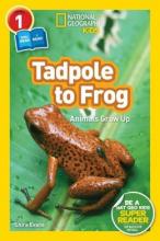 Cover image of Tadpole to frog