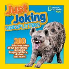 Cover image of Just joking sidesplitters