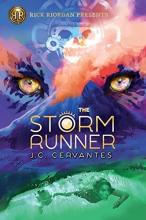 Cover image of The storm runner